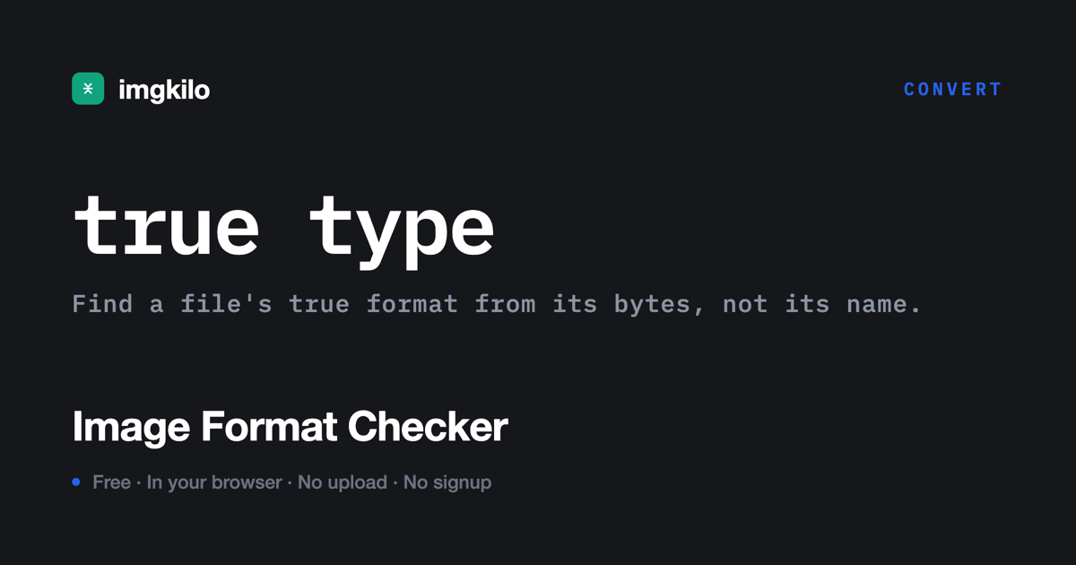 Image format checker
